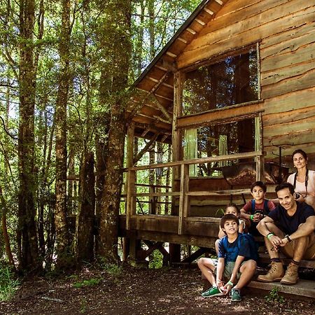 Huilo Huilo Cabanas Del Bosque Пуэрто-Фуй Экстерьер фото
