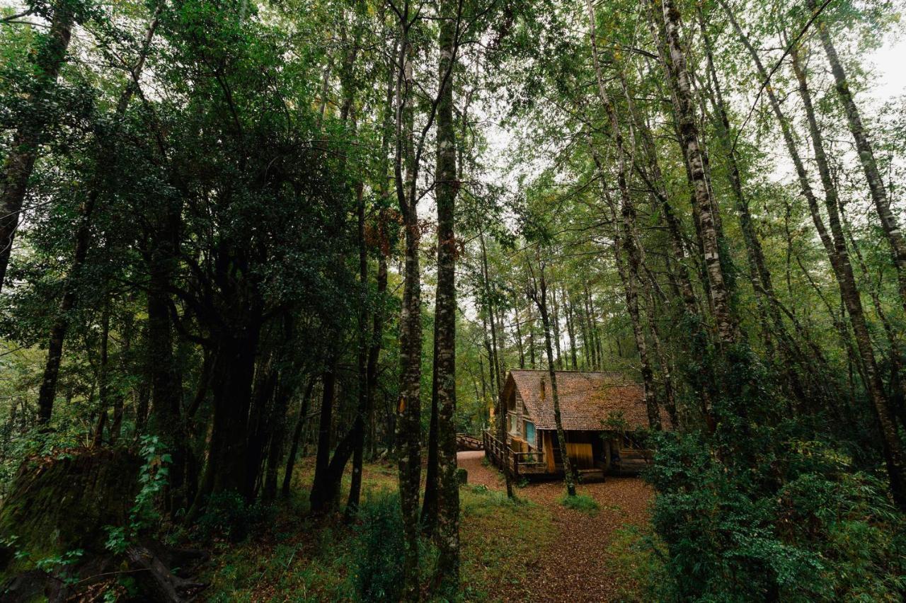 Huilo Huilo Cabanas Del Bosque Пуэрто-Фуй Номер фото